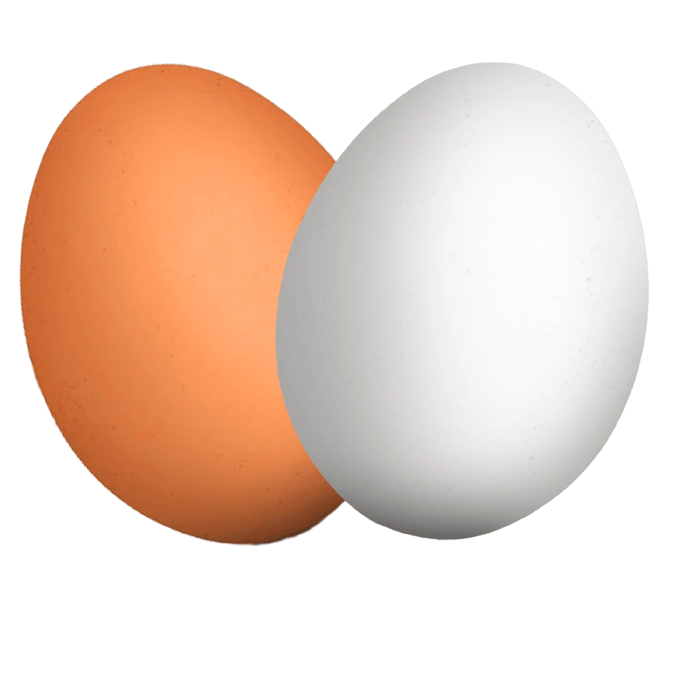 eggs